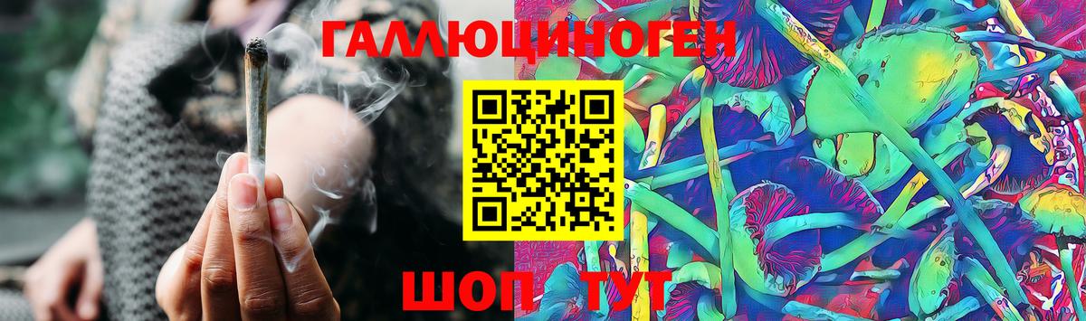 Галлюциногенные грибы Magic Shrooms Дивногорск
